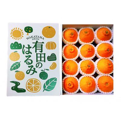 ふるさと納税 印南町 [まごころ手選別]和歌山県産 はるみ 化粧箱 2Lサイズ12個入[2027年1月下旬より順次発送]