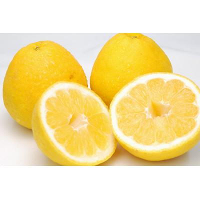 ふるさと納税 八幡浜市 河内晩柑 約3kg[家庭用][C76-20]