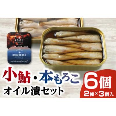 ふるさと納税 近江八幡市 [琵琶湖 沖島からの贈物]本もろこオイル漬・びわ湖産 こあゆオイル漬 缶詰6個セット