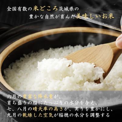 ふるさと納税 つくばみらい市 【 令和8年産 新米 】 コシヒカリ 10kg  精米 茨城県つくばみらい市産 |  | 01