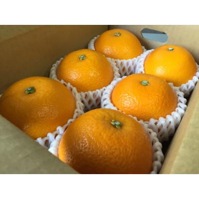 ふるさと納税 印南町 [2027年1月より順次発送]和歌山産 八朔 6玉×2箱 L〜2Lサイズ[まごころ手選別]
