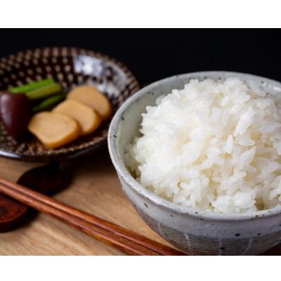 ふるさと納税 山形村 [粘りと甘みを味わう]令和7年産 長野県山形村産 コシヒカリ 精米10kg
