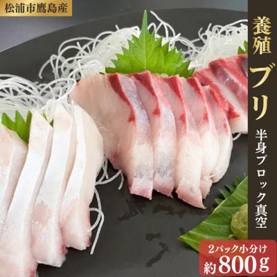 ふるさと納税 松浦市 養殖ブリ [半身 2パック小分け]ブロック真空 約800g