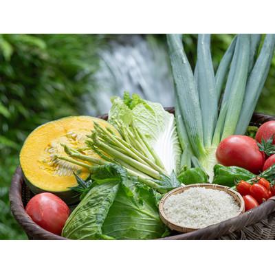 ふるさと納税 阿蘇市 [阿蘇 郷乃舎]野菜ソムリエ上級プロ厳選 阿蘇高原の旬便りセット 8〜10品目