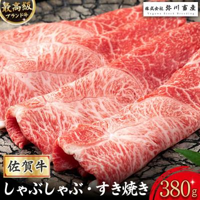 ふるさと納税 太良町 佐賀牛 しゃぶしゃぶ・すき焼き 380g(太良町)[ZJ1×1]