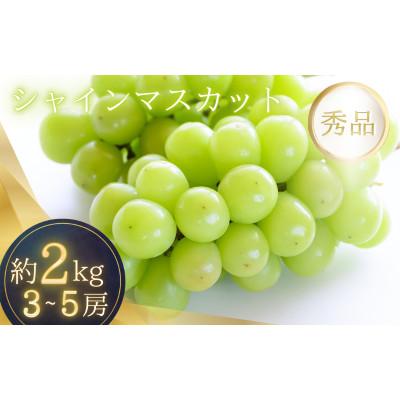 ふるさと納税 かつらぎ町 和歌山のシャインマスカット 種無しブドウ約2kg 箱入り[2026年8月上旬〜9月上旬頃順次発送]