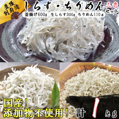 ふるさと納税 杵築市 豊後別府湾ちりめん・しらす 3色セット 計1kg 国産 添加物不使用