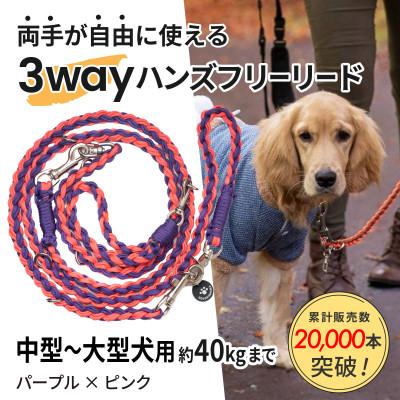 ふるさと納税 掛川市 [犬用]3WAYハンズフリーリード(中型〜大型犬用)パープル×ピンク[ゴールデンママ]