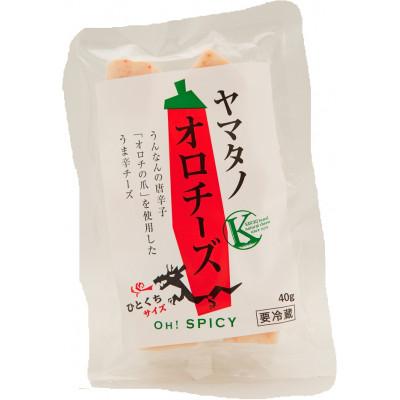 ふるさと納税 雲南市 ヤマタノオロチーズ(40g)