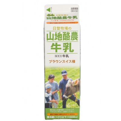 ふるさと納税 雲南市 山地酪農牛乳(ブラウンスイス牛乳)1000ml