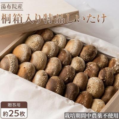 ふるさと納税 由布市 [全国銅賞受賞]贈答用 桐箱入り特品しいたけ(約400g・サイズ混合約25枚) 栽培期間中農薬不使用