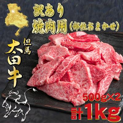 ふるさと納税 養父市 但馬 太田牛 訳あり 部位おまかせ焼肉 計1kg OY1-2