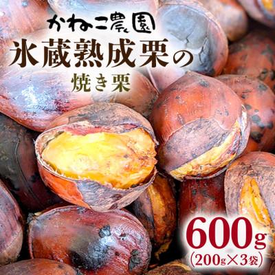 ふるさと納税 笠間市 [2026年秋 先行予約]笠間の栗・かねこ農園の焼き栗 200g×3袋