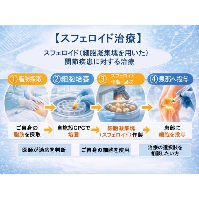 ふるさと納税 東大阪市 [培養幹細胞治療]スフェロイド(細胞凝集塊)を用いた関節疾患1部位に対する治療