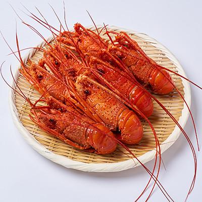 ふるさと納税 いすみ市 訳アリボイル伊勢海老1kg(約6-9尾入り)