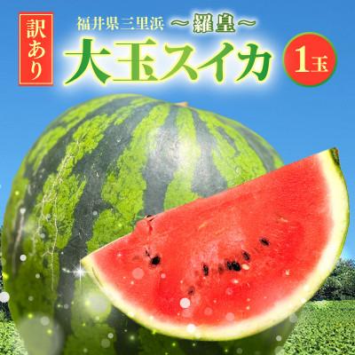 ふるさと納税 坂井市 [2027年7月中旬以降順次発送予定][訳アリ]大玉スイカ 1玉 6kg以上羅皇 [A-16514]