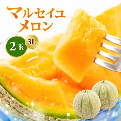 ふるさと納税 坂井市 [2027年6月上旬より順次発送]マルセイユメロン 3Lサイズ以上 × 2玉 [A-16518]
