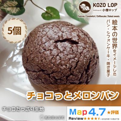 ふるさと納税 北栄町 [鳥取県産 チョコたっぷり生地]チョコっとメロンパン 5個