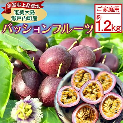 ふるさと納税 瀬戸内町 [皇室献上品産地のパッションフルーツ ご家庭用]奄美大島瀬戸内町産 約1.2kg
