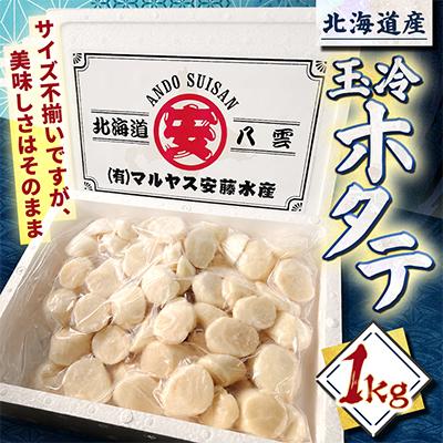 ふるさと納税 八雲町 北海道産 玉冷 ホタテ 1kg サイズ不揃い 刺身用