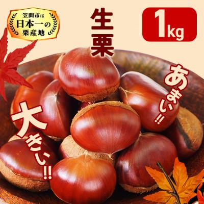 ふるさと納税 笠間市 [2026年 秋 出荷]カサマロンの生栗 1kg×1袋 笠間市