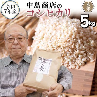 ふるさと納税 つくばみらい市 [玄米]令和7年産 茨城県産 お米 こしひかり 5kg