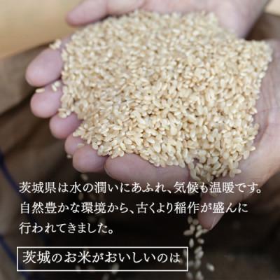 ふるさと納税 つくばみらい市 【玄米】令和7年産 茨城県産 お米
