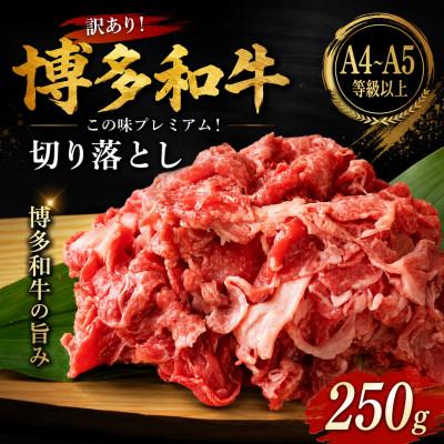 ふるさと納税 春日市 訳あり![A4〜A5]この味プレミアム!博多和牛切り落とし 250g(春日市)