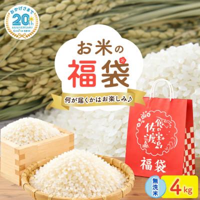 ふるさと納税 佐渡市 [20周年記念]お米の福袋|無洗米4kg 令和7年産 (佐渡産コシヒカリ確定+食べ比べセット)