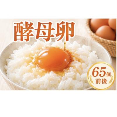 ふるさと納税 東金市 酵母卵 65個前後