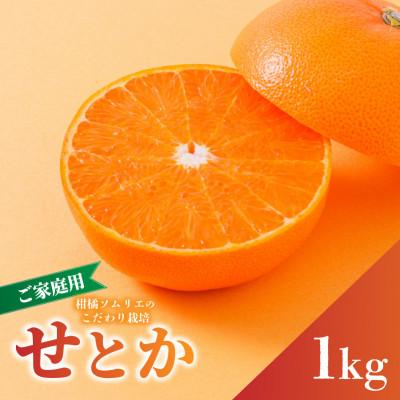 ふるさと納税 松山市 [先行予約]2027年2月下旬より発送 せとか 約1kg 家庭用 訳あり 愛媛農家直送