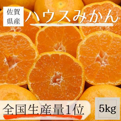 ふるさと納税 唐津市 [全国生産量1位]佐賀県産 ハウスみかん 5kg[2026年7月より順次発送予定]