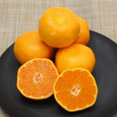 ふるさと納税 唐津市 【全国生産量1位】佐賀県産 ハウスみかん 5kg