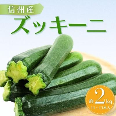 ふるさと納税 豊丘村 [南信州産]ズッキーニ 約2kg(11〜13本入り)6月上旬から順次発送