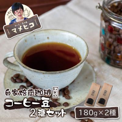 ふるさと納税 遠野市 自家焙煎珈琲 マメヒコ コーヒー豆 180g×2種セット / コーヒー 飲み比べ 自家製 ギフト