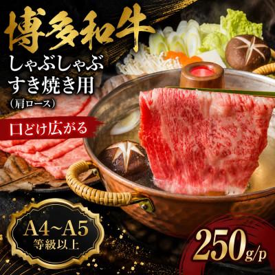 ふるさと納税 春日市 [A4〜A5]博多和牛しゃぶしゃぶすき焼き用(肩ロース)250g/p(春日市)