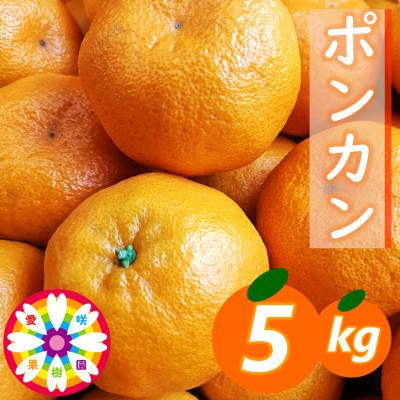 ふるさと納税 八幡浜市 愛咲果樹園「ポンカン」約5kg[71-63]