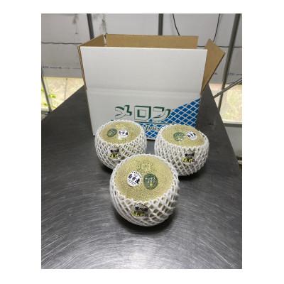 ふるさと納税 福井市 [福井市三里浜砂丘地産]立体栽培の甘味凝縮アンデスメロン 2〜3玉(合計3kg以上)