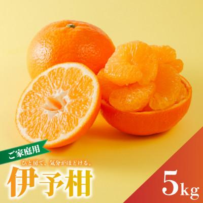 ふるさと納税 松山市 [先行予約]2027年1月下旬より発送 宮内伊予柑 サイズ混合 約5kg 家庭用 訳あり