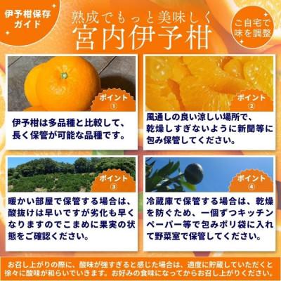 ふるさと納税 松山市 【先行予約】2027年1月下旬より発送 宮内伊予柑 サイズ混合 約5kg 家庭用 訳あり |  | 01