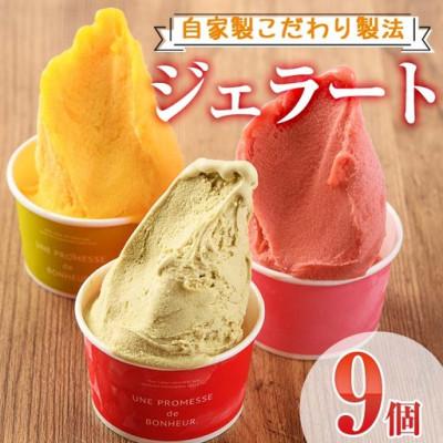 ふるさと納税 門川町 [自家製こだわり製法]自家製ジェラート(9個)