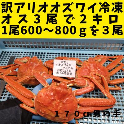 ふるさと納税 白老町 訳あり オオズワイガニオス浜ゆで (約600-800g) 3尾で計2kg