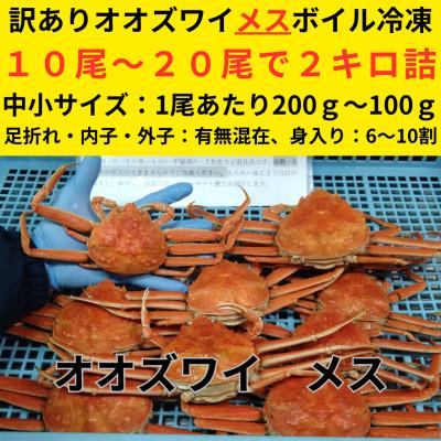 ふるさと納税 白老町 訳あり オオズワイガニメス (約100-200g前後) 浜ゆで 10〜20尾で2kg