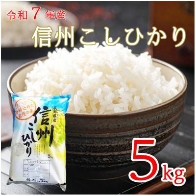 ふるさと納税 長和町 令和7年産 長野県長和町産こしひかり5kg(キロ) 精白米 農家直送 冷めてもおいしいお米