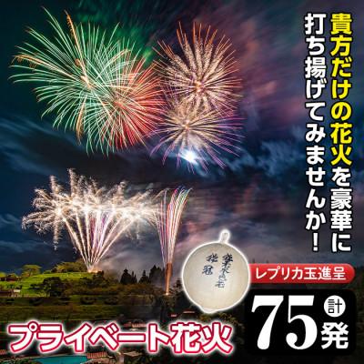 ふるさと納税 日置市 [太洋花火]プライベート花火(計75発・レプリカ玉進呈)打揚場所・日時は応相談!