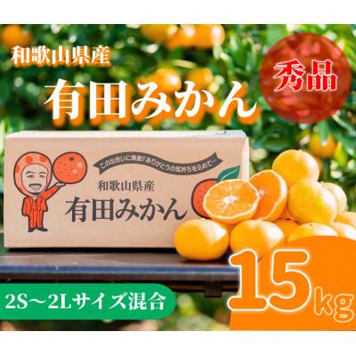 ふるさと納税 美浜町 [先行受付2026年11月より順次発送]有田みかん 15kg(2S〜2L混合)[まごころ手選別]
