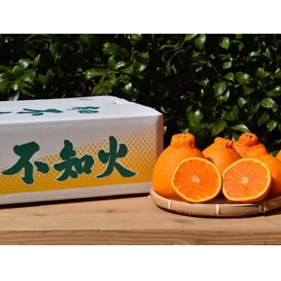 ふるさと納税 印南町 [2027年2月上旬より順次発送]和歌山産 不知火 (デコポン) 約4kg [まごころ手選別]