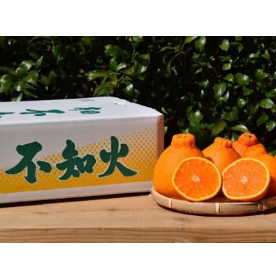 ふるさと納税 美浜町 [2027年2月上旬より順次発送]和歌山産 不知火 (デコポン) 約4kg [まごころ手選別]