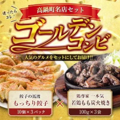 ふるさと納税 高鍋町 [人気コラボ!]馬渡 餃子 30個+一本気 若鶏もも炭火焼 300g