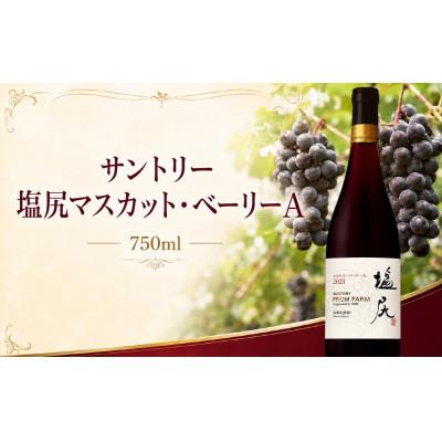 ふるさと納税 塩尻市 サントリー 塩尻マスカット・ベーリーA 750ml